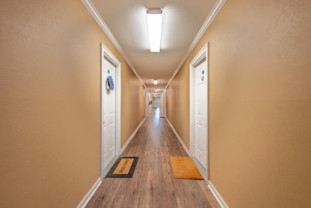 hallway featuring wood-type flooring and ornamental molding