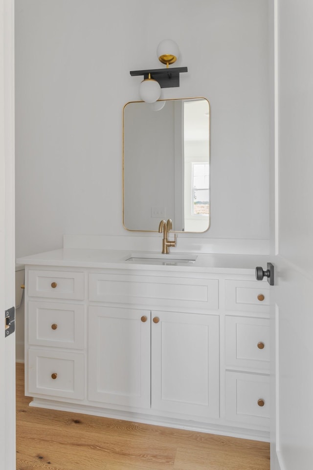 bathroom with hardwood / wood-style flooring and vanity