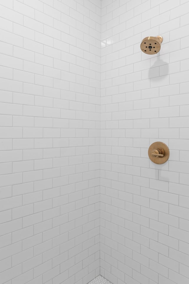 interior details with tiled shower