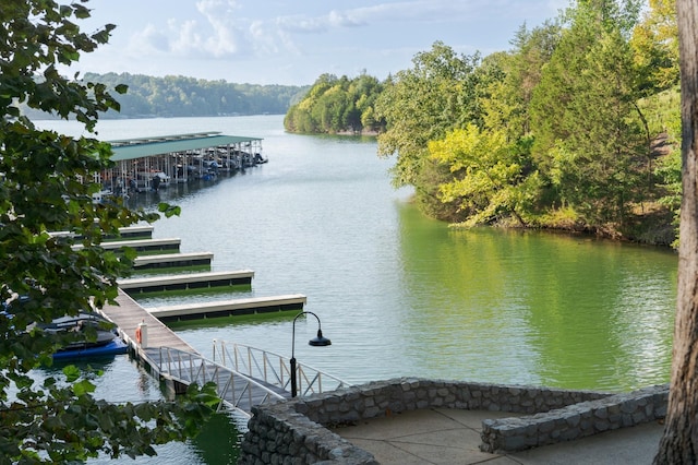 view of water feature with a boat dock