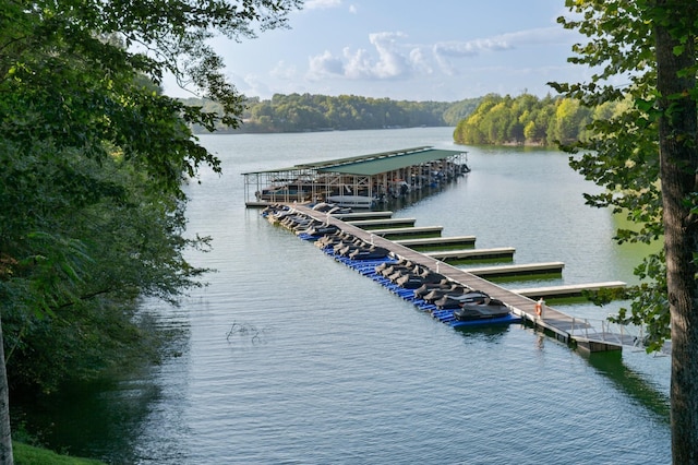 dock area with a water view