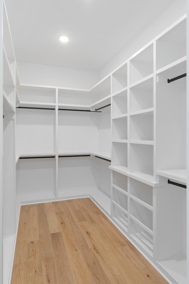 walk in closet with wood-type flooring