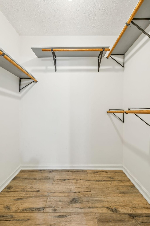 spacious closet featuring wood-type flooring