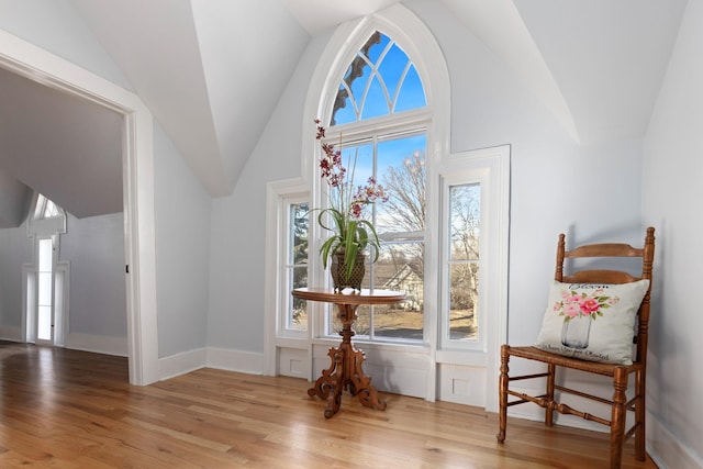 foyer with lofted ceiling and hardwood / wood-style flooring