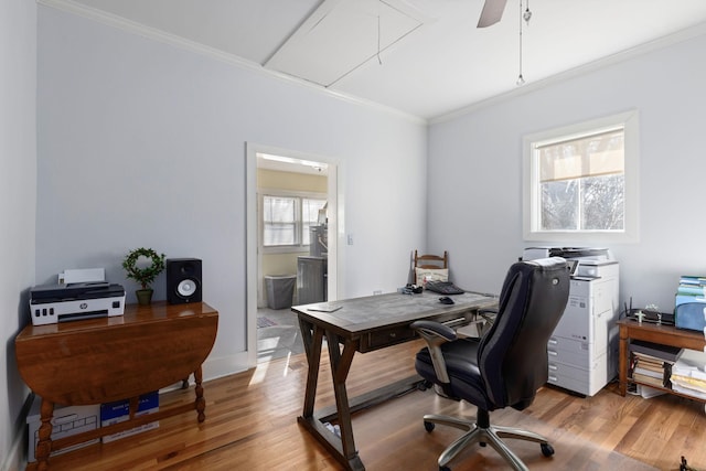 home office featuring ornamental molding and light hardwood / wood-style floors