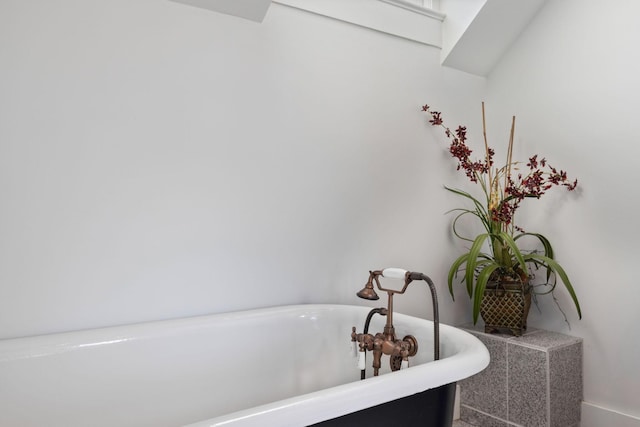 bathroom featuring a washtub