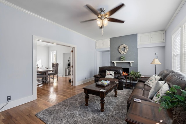 living room featuring ornamental molding, dark wood-type flooring, ceiling fan, and a fireplace