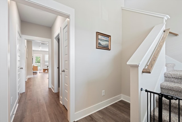 hall with dark hardwood / wood-style floors