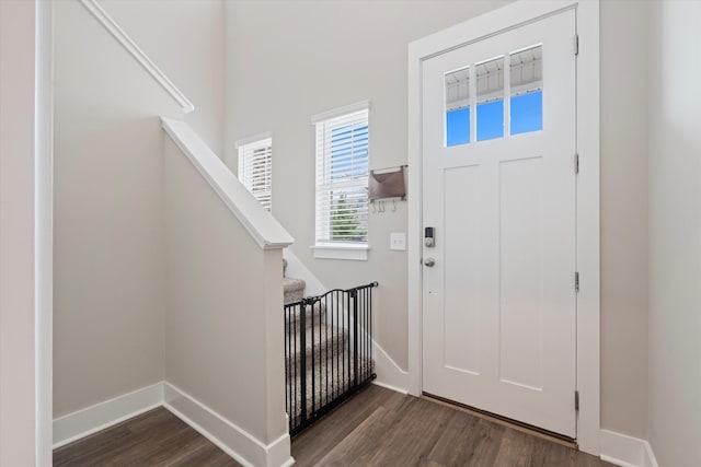 foyer featuring dark wood-type flooring