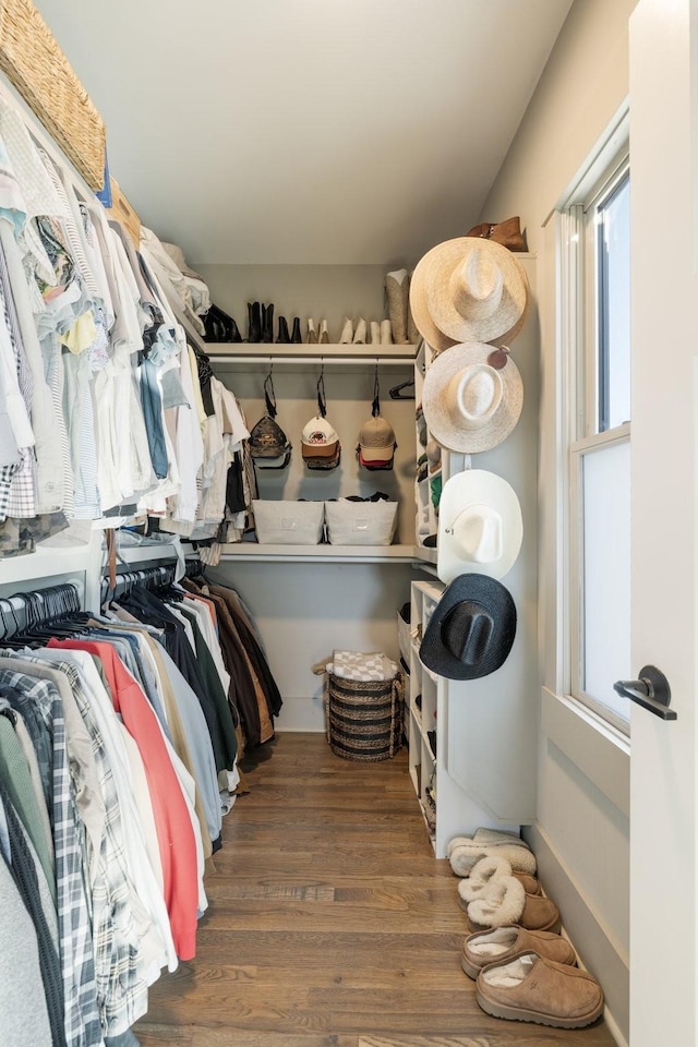 walk in closet featuring dark hardwood / wood-style floors