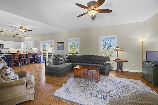 living room featuring ceiling fan and hardwood / wood-style floors