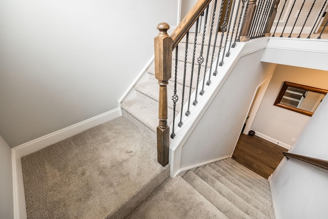 staircase featuring carpet