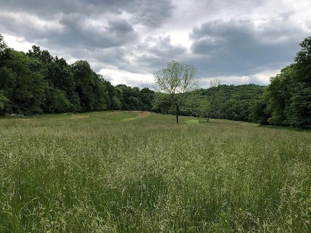 view of landscape