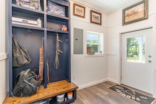 mudroom featuring wood-type flooring, electric panel, and a healthy amount of sunlight