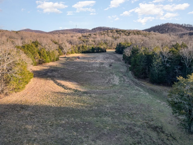 drone / aerial view featuring a mountain view