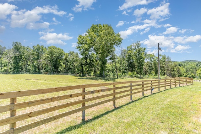 view of yard featuring a rural view