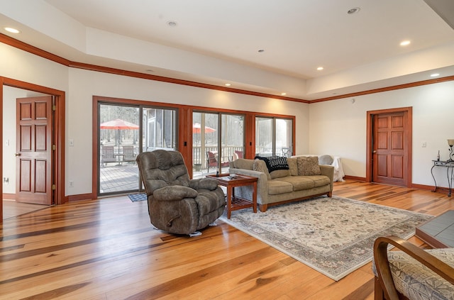 living room featuring a raised ceiling and light wood-type flooring