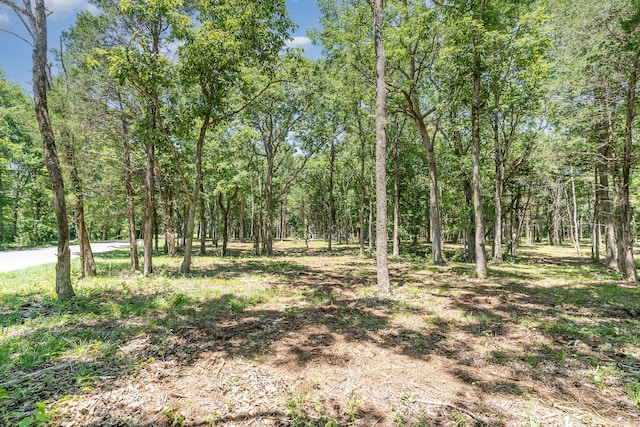 view of local wilderness