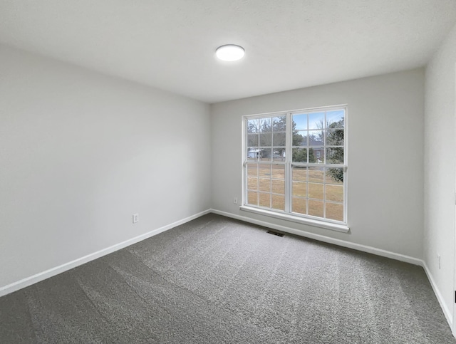 unfurnished room featuring carpet floors