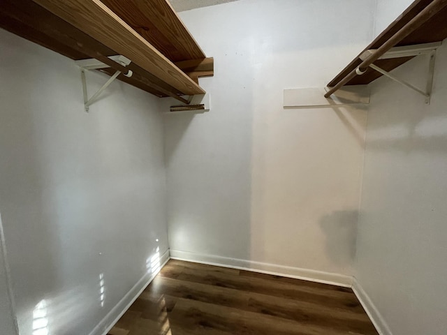 walk in closet featuring dark wood-type flooring