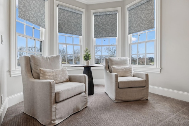 living area with carpet floors