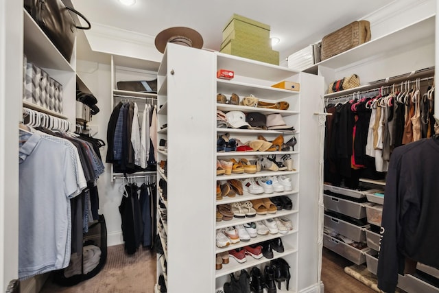 view of spacious closet