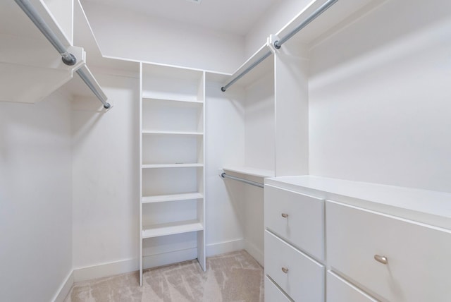 spacious closet with light carpet