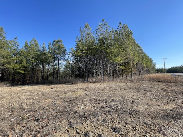 84 Ridgewood Dr, Linden, TN 37096 - photo 4