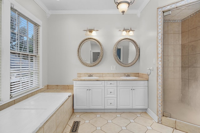 bathroom featuring ornamental molding, plenty of natural light, and vanity