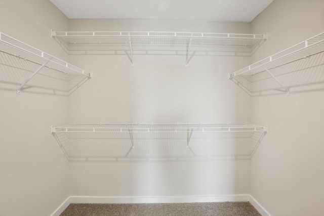 walk in closet featuring carpet