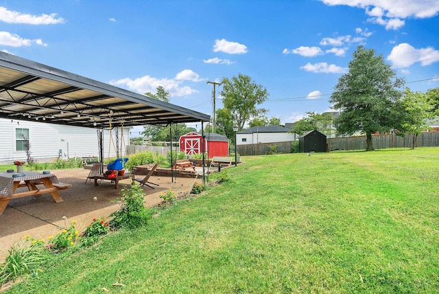 view of yard with a patio area and a storage unit