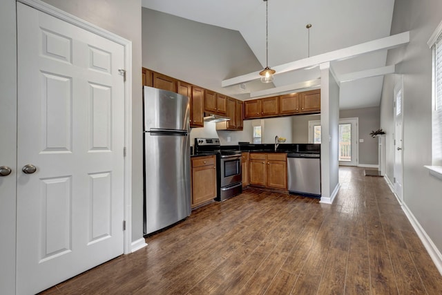 kitchen with dark hardwood / wood-style flooring, sink, stainless steel appliances, and high vaulted ceiling