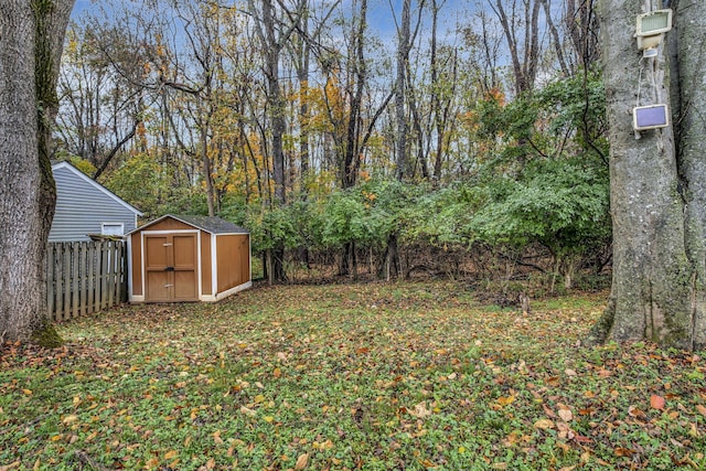 view of yard with a shed