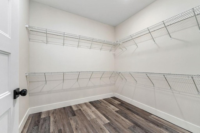 walk in closet with hardwood / wood-style flooring