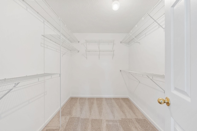 walk in closet featuring light colored carpet