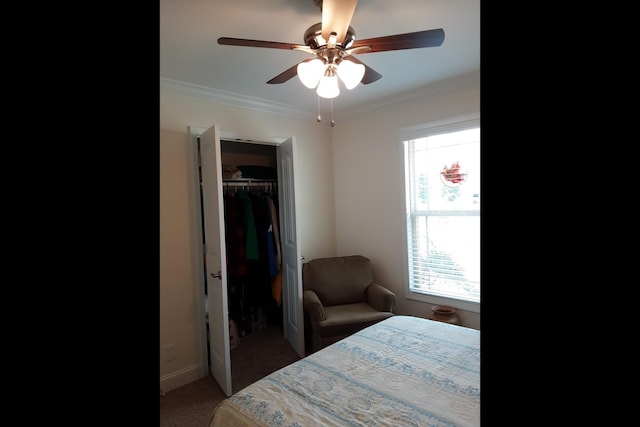 carpeted bedroom featuring crown molding, a closet, and ceiling fan