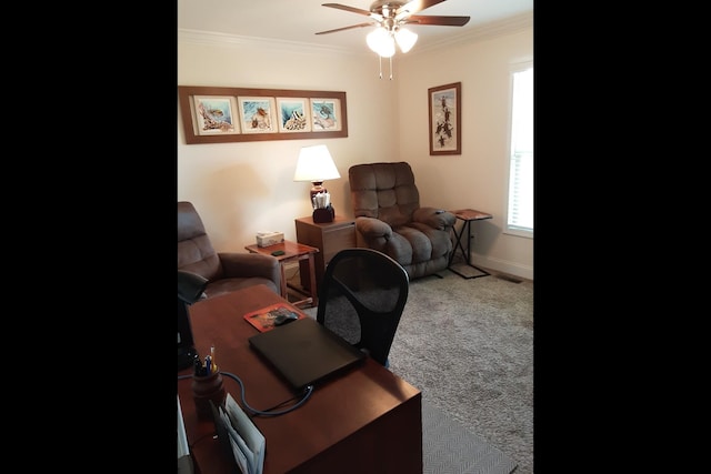 office with ornamental molding, carpet flooring, and ceiling fan