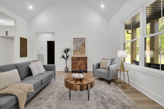 living room with high vaulted ceiling and light hardwood / wood-style floors