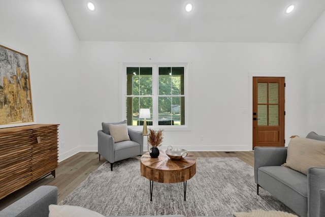 living room with hardwood / wood-style flooring and vaulted ceiling