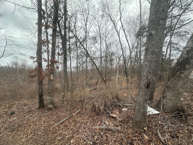 Listing photo 2 for 0 Glendale Rd, Adamsville TN 38310