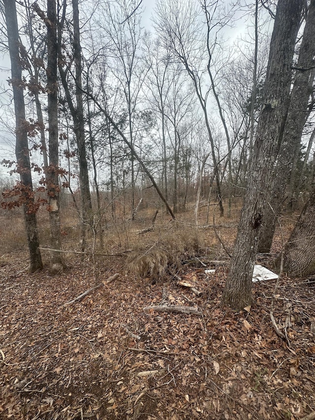 0 Glendale Rd, Adamsville TN, 38310 land for sale