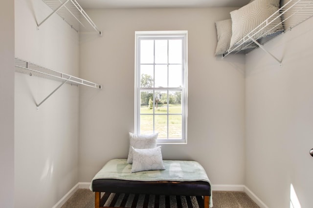 spacious closet featuring carpet