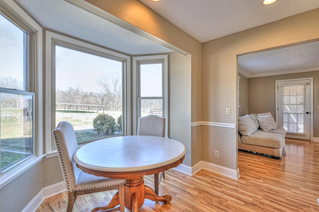 dining area with light hardwood / wood-style floors