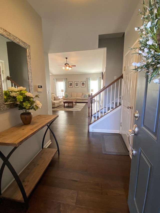 entryway with ceiling fan and dark hardwood / wood-style flooring