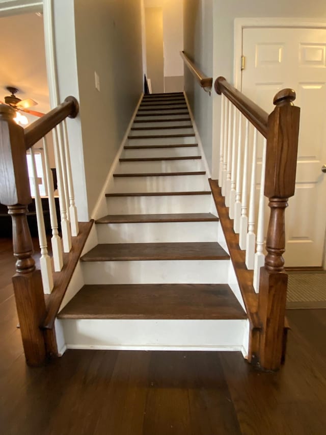 staircase featuring hardwood / wood-style flooring and ceiling fan