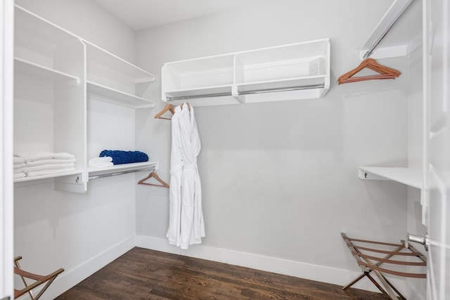 walk in closet featuring dark hardwood / wood-style floors