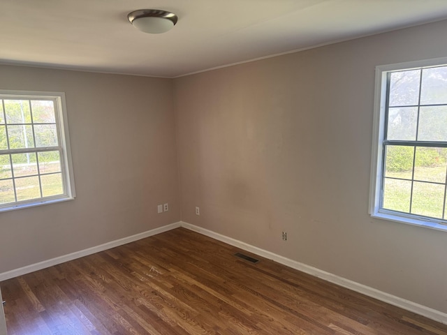 spare room featuring dark wood-style floors, baseboards, and a healthy amount of sunlight
