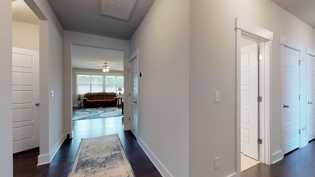 hallway featuring dark wood-type flooring