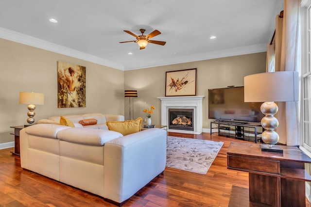 living room with hardwood / wood-style flooring, ornamental molding, and ceiling fan