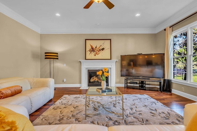 living room featuring crown molding, ceiling fan, and dark hardwood / wood-style flooring